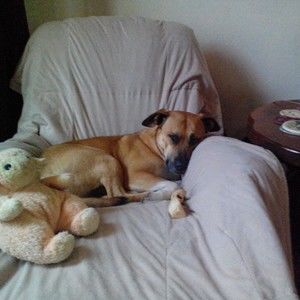 Meet your Posher, Sylvia